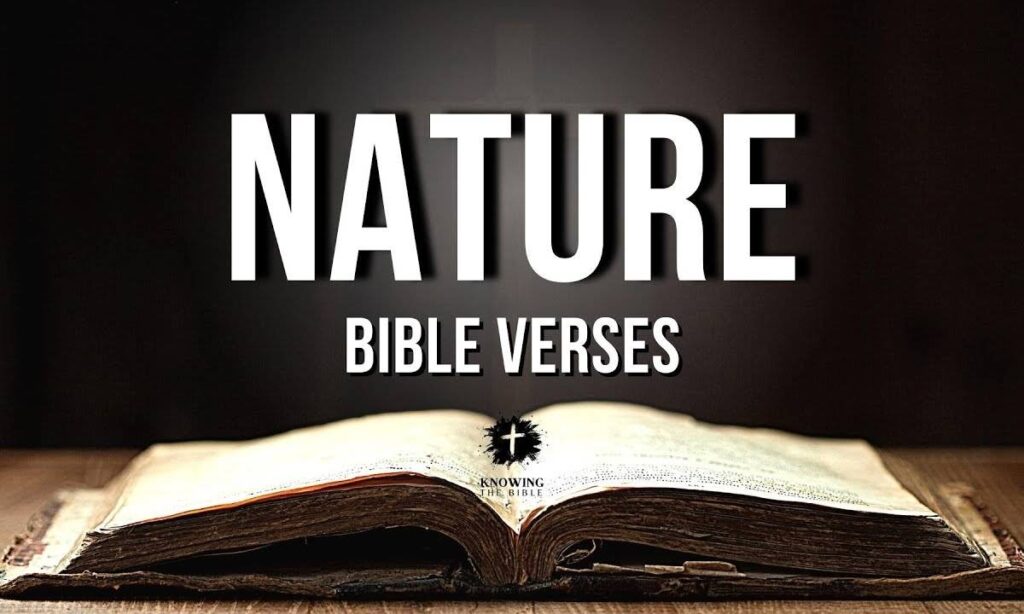 50-bible-verses-about-nature-2026