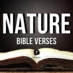 50-bible-verses-about-nature-2026