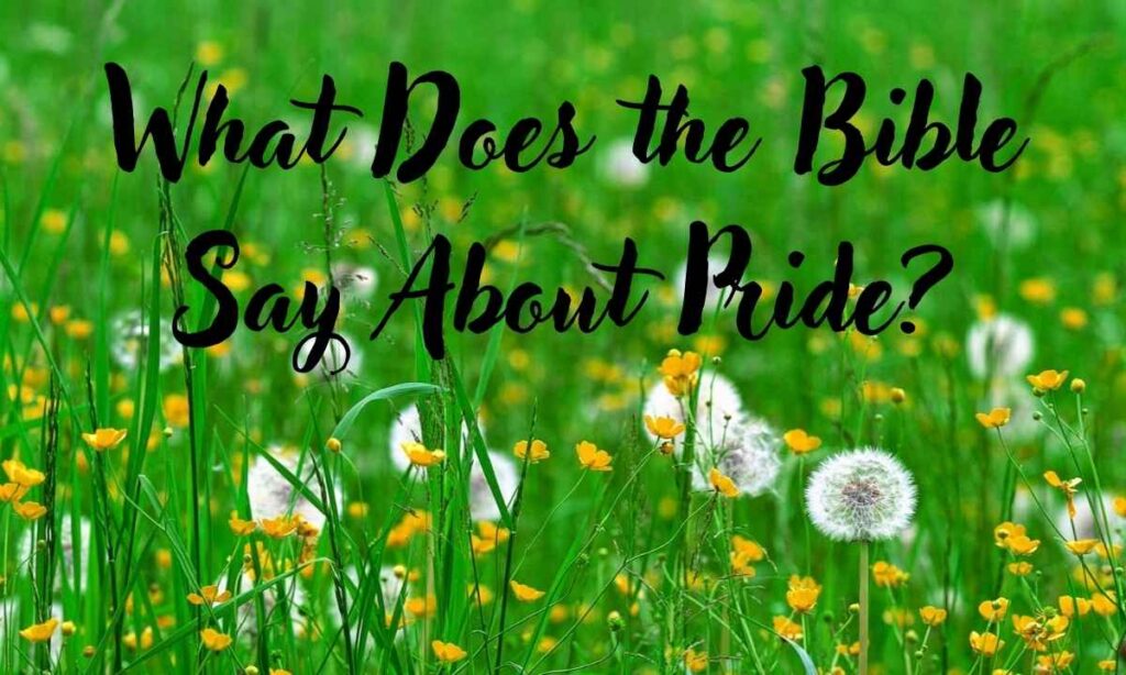 what-does-the-bible-say-about-pride